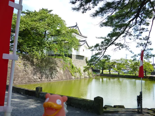 Autumn Explorations in Mammoth Lakes: A Seasonal Guide