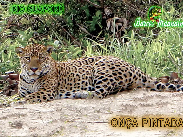 Tourist from Germany stumbles upon financial discovery in a campervan