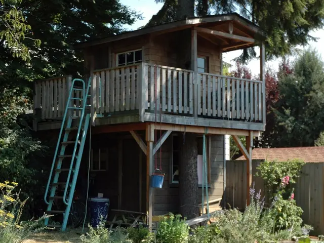 Joshua Tree's Hidden Residence Claims $10,000 Fee for Personal Photographs, Owner Offers Insight