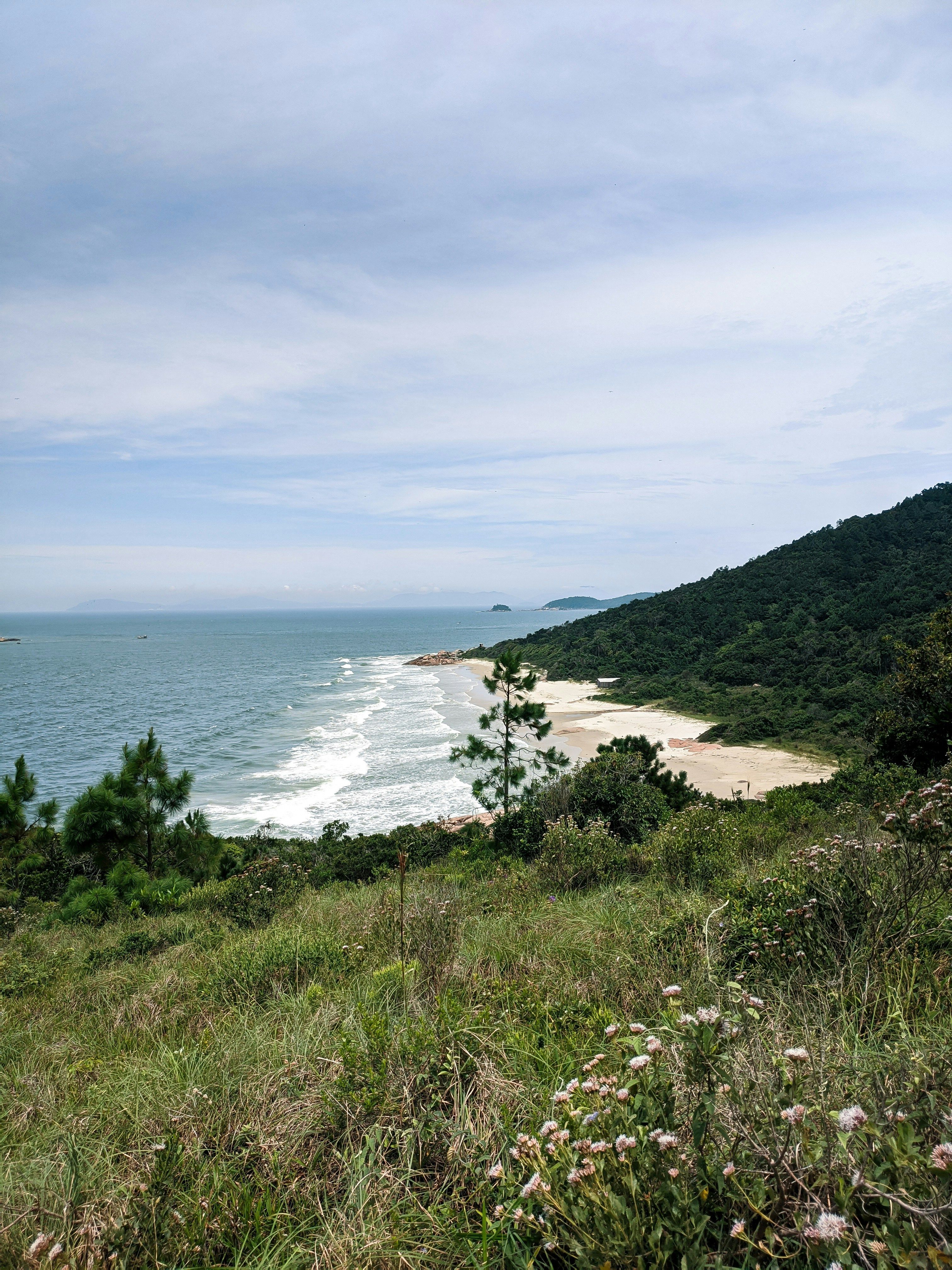 User sought illegal access to a government database Summer vacation rush in Russia sees tourists disillusioned with domestic resorts, citing filthy beaches, exorbitant prices, and subpar service as main concerns.
