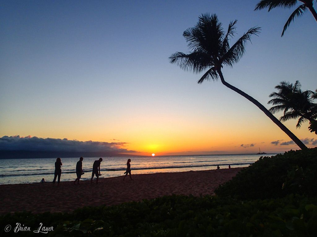 Streamlining Your Journey: Exploring the Benefits of Group Travel with Delta Airlines for Your...